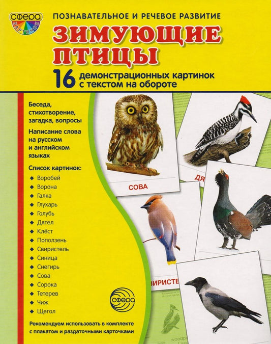 Обложка книги "Зимующие птицы. 16 демонстрационных картинок с текстом на обороте"