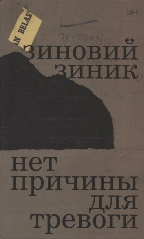 Обложка книги "Зиник: Нет причины для тревоги"