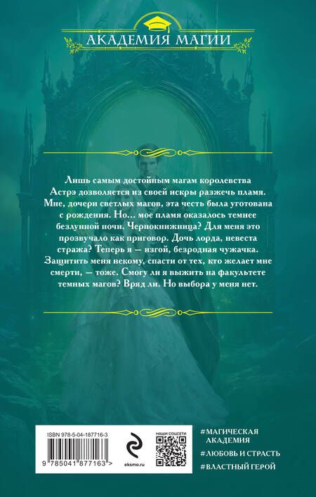 Фотография книги "Змеевская, Гринберг: Академия сумерек. Темное пламя"