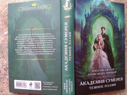 Фотография книги "Змеевская, Гринберг: Академия сумерек. Темное пламя"