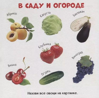Фотография книги "Знакомство с окружающим миром"