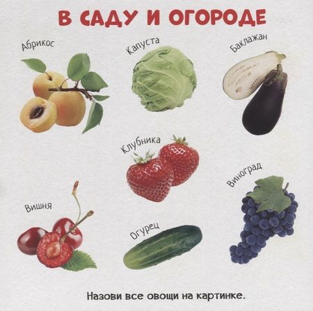 Фотография книги "Знакомство с окружающим миром"