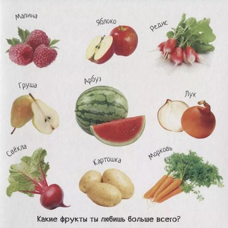 Фотография книги "Знакомство с окружающим миром"