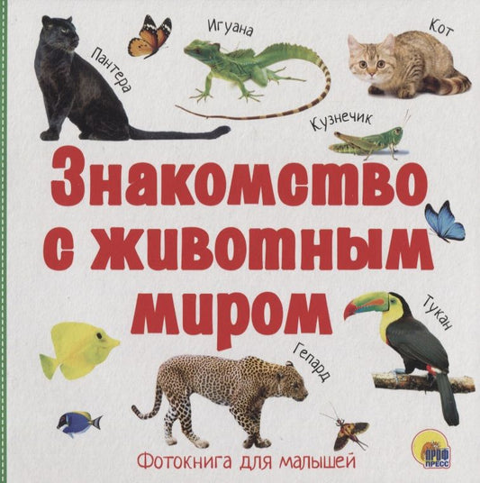 Обложка книги "Знакомство с животным миром"