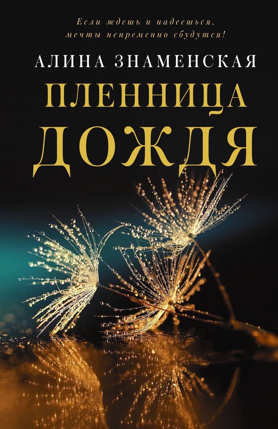 Обложка книги "Знаменская: Пленница дождя"