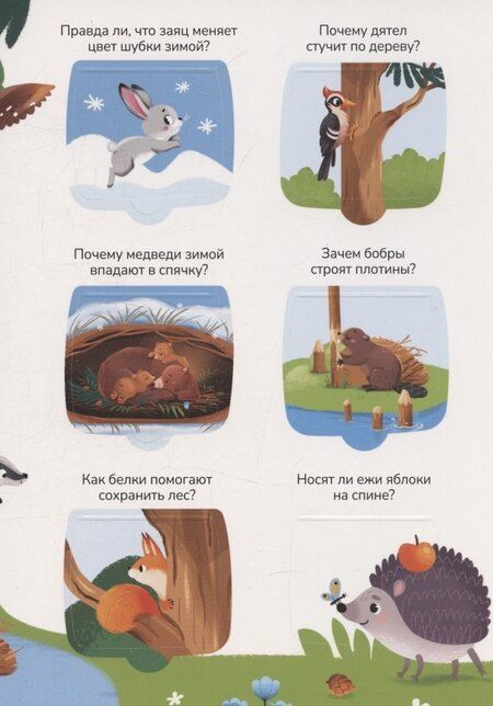 Фотография книги "Знания в окошках. Животные"