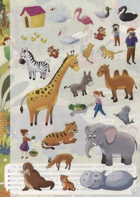 Фотография книги "Зоопарк. Дополни картинку. Многоразовые наклейки"