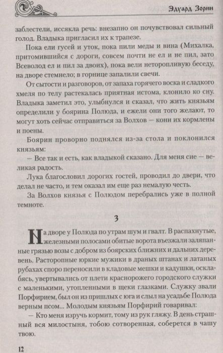Фотография книги "Зорин: Большое гнездо"