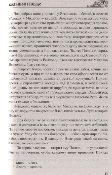 Фотография книги "Зорин: Большое гнездо"