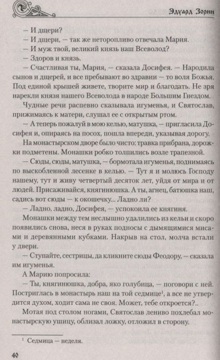 Фотография книги "Зорин: Большое гнездо"