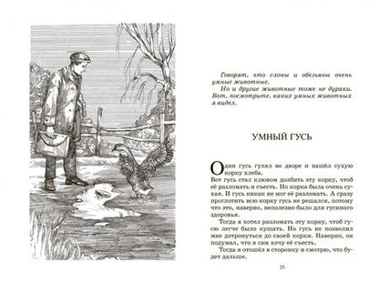Фотография книги "Зощенко: Великие путешественники. Рассказы для детей"