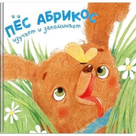 Обложка книги "Зуля Стадник: Пес Абрикос изучает и запоминает"
