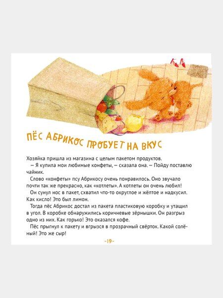 Фотография книги "Зуля Стадник: Пес Абрикос изучает и запоминает"