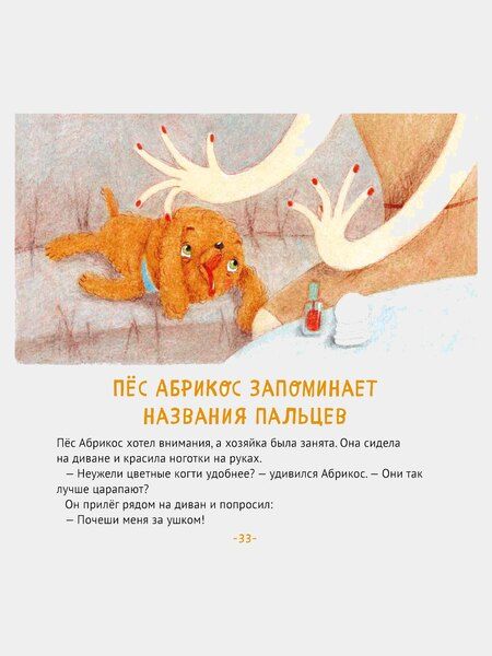 Фотография книги "Зуля Стадник: Пес Абрикос изучает и запоминает"