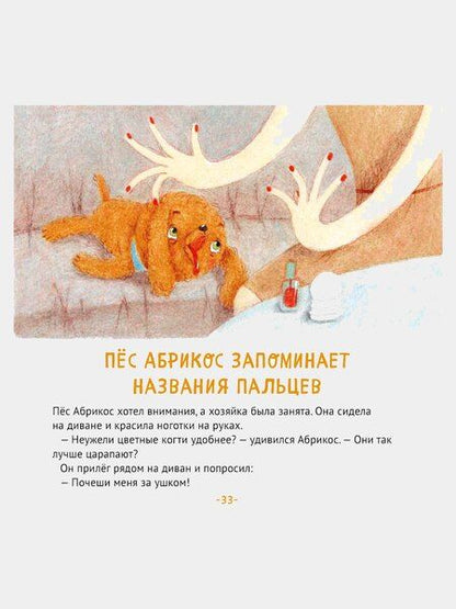 Фотография книги "Зуля Стадник: Пес Абрикос изучает и запоминает"