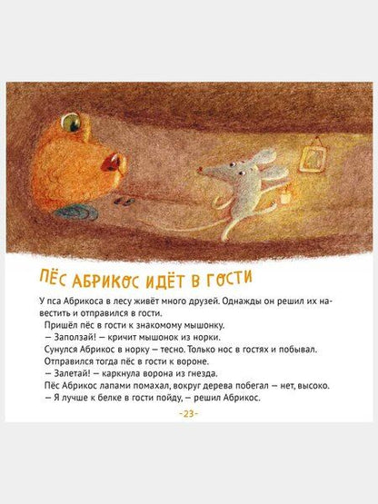 Фотография книги "Зуля Стадник: Пес Абрикос изучает и запоминает"