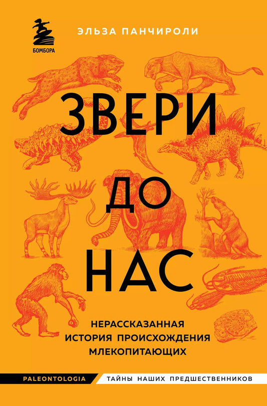 Обложка книги "Звери до нас. Нерассказанная история происхождения млекопитающих"