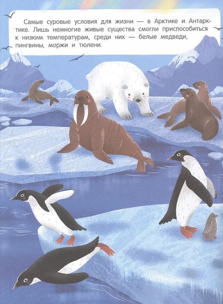 Фотография книги "Звери и не только: книжка с наклейками"