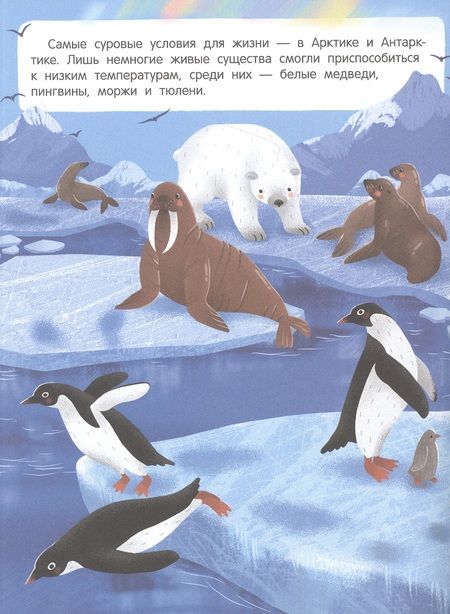 Фотография книги "Звери и не только: книжка с наклейками"