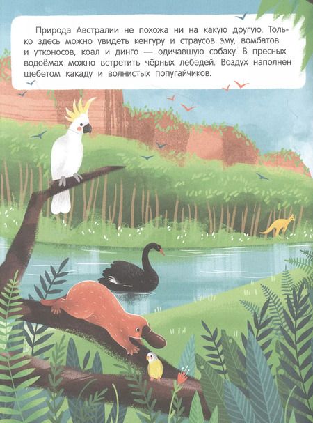 Фотография книги "Звери и не только: книжка с наклейками"