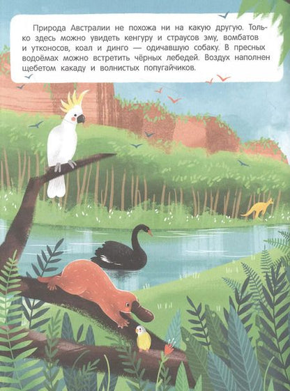 Фотография книги "Звери и не только: книжка с наклейками"