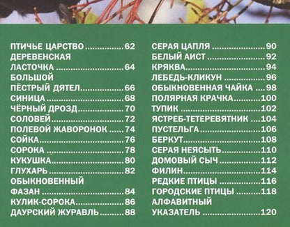 Фотография книги "Звери и птицы России.Энциклопедия для детей"