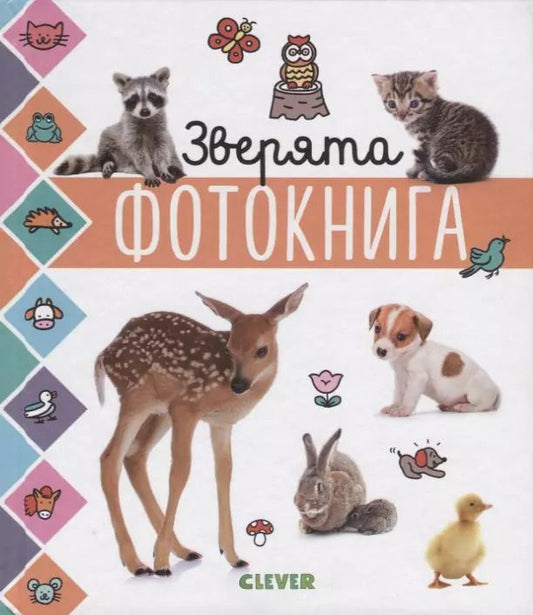 Обложка книги "Зверята. Фотокнига"