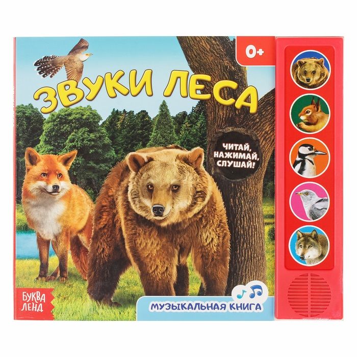 Обложка книги "Звуки леса"