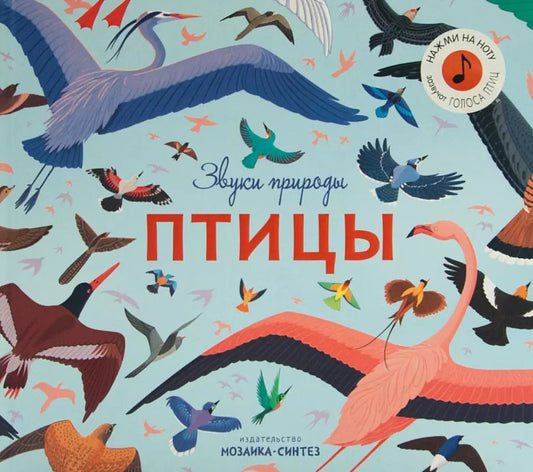 Обложка книги "Звуки природы. Птицы"